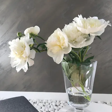 Gaestehaus Gallob Apartman