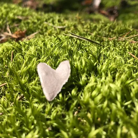 Gaestehaus Gallob Velden am Wörthersee