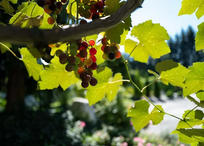 Lägenhet Gaestehaus Gallob