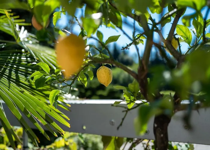 Gaestehaus Gallob Lägenhet